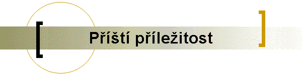 Pt pleitost