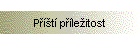 Pt pleitost