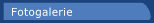 foto.gif (488 bytes)