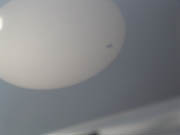 Venus Transit