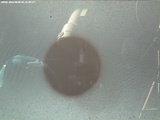 2004/06/08 06:56:38 UT