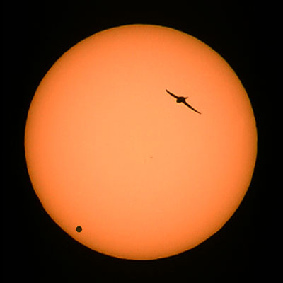 6:30 UT, pstroj: video kamera Canon XL1 s objektivem 300 mm  a convertorem 6.3x